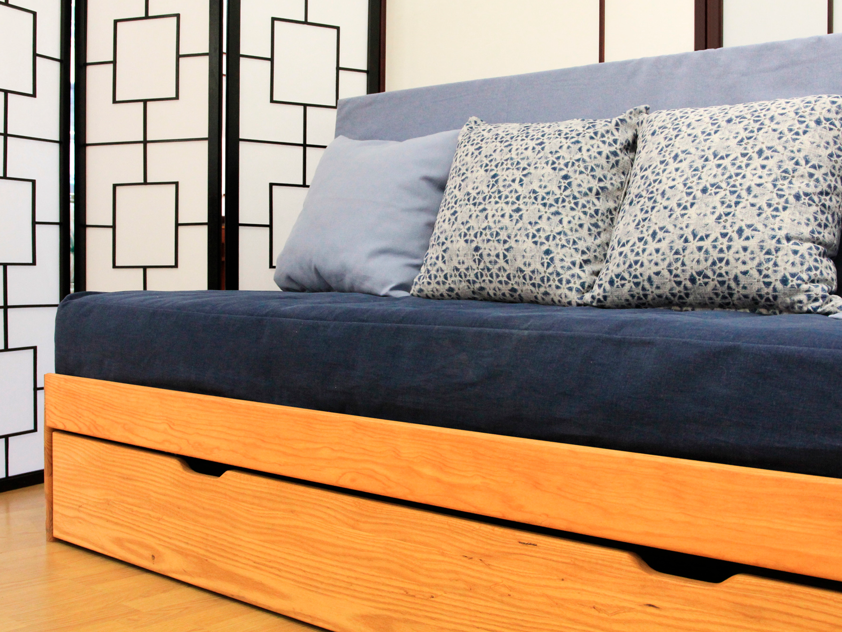 Canapé lit tiroir SCALPA 330